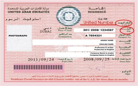 Cash Now Contact Number Uae